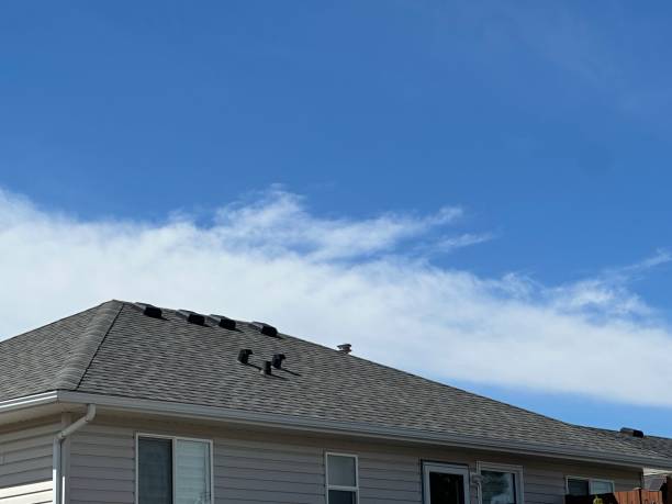 Best Skylight Installation and Repair  in Highland Heights, OH